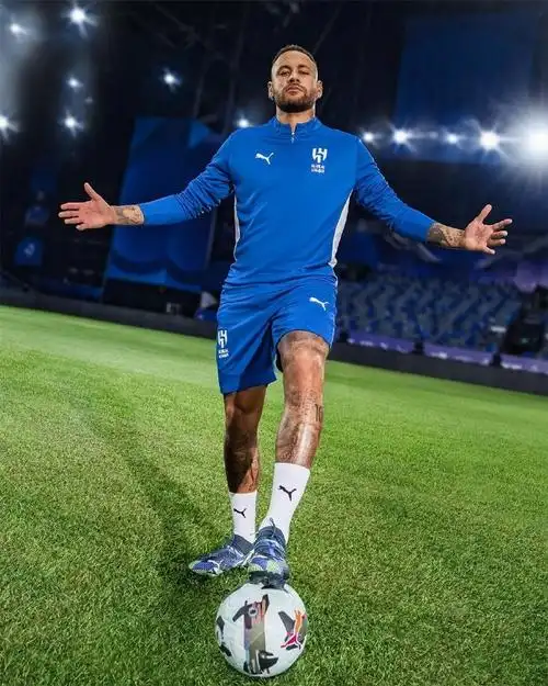 儘管黃蜂最 儘管黃蜂最