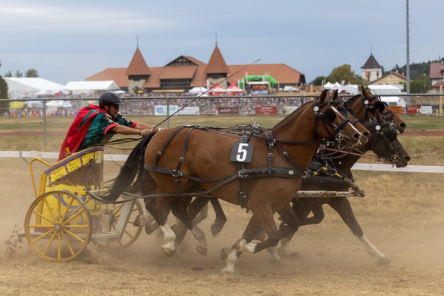 一次决定性 一次决定性