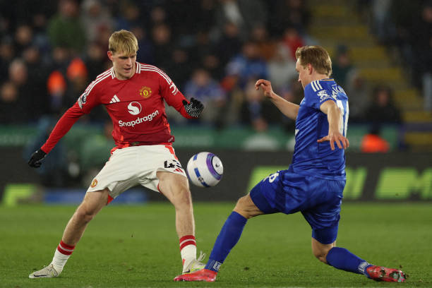 更多的展示 更多的展示